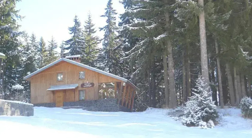 Elitza Villa