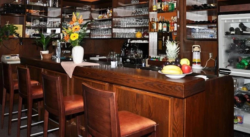 Hotel Skála
