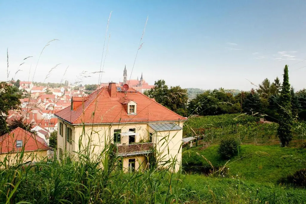 Rebenhaus Meißen