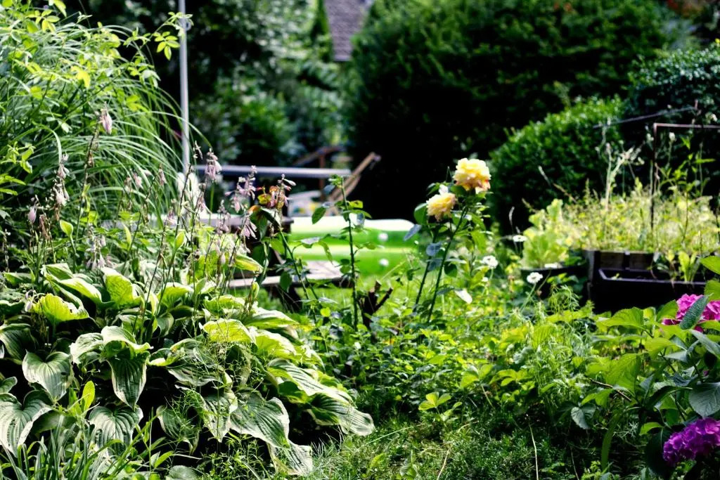 Souterrainwohnung mit großem Garten und Sauna