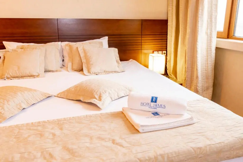 Hemus Hotel - Vratza