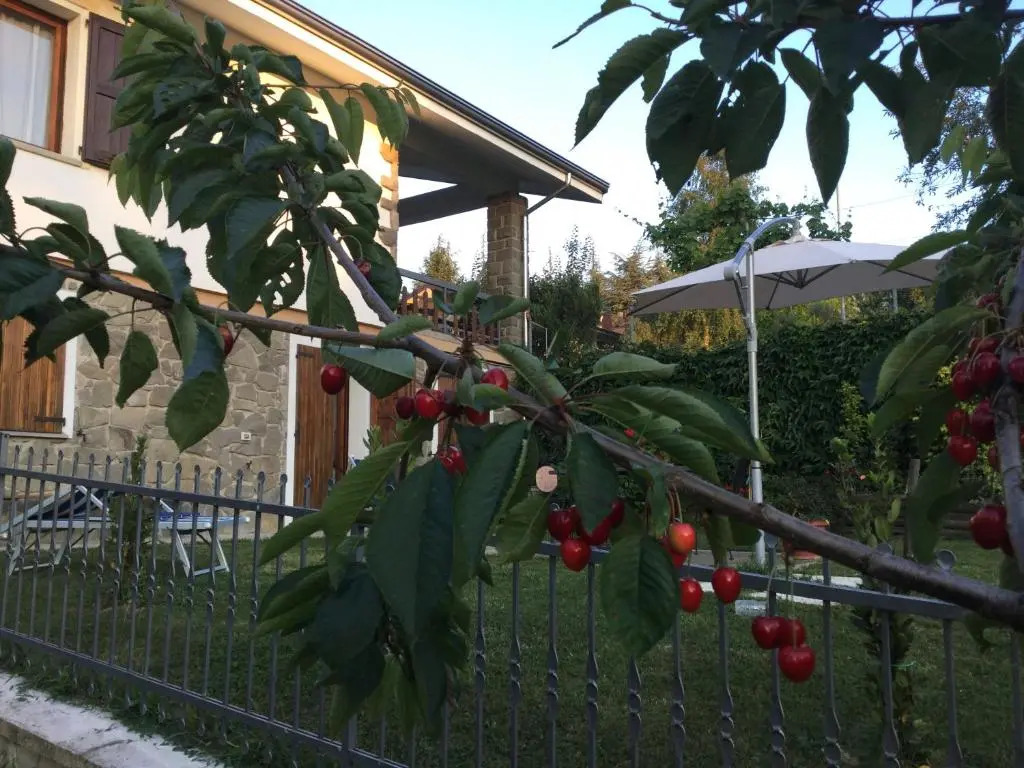 B&B Serra Pineta