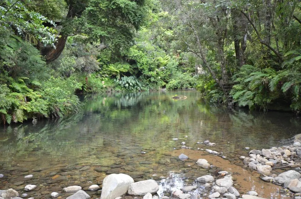 Wairua Lodge - Rainforest River Retreat