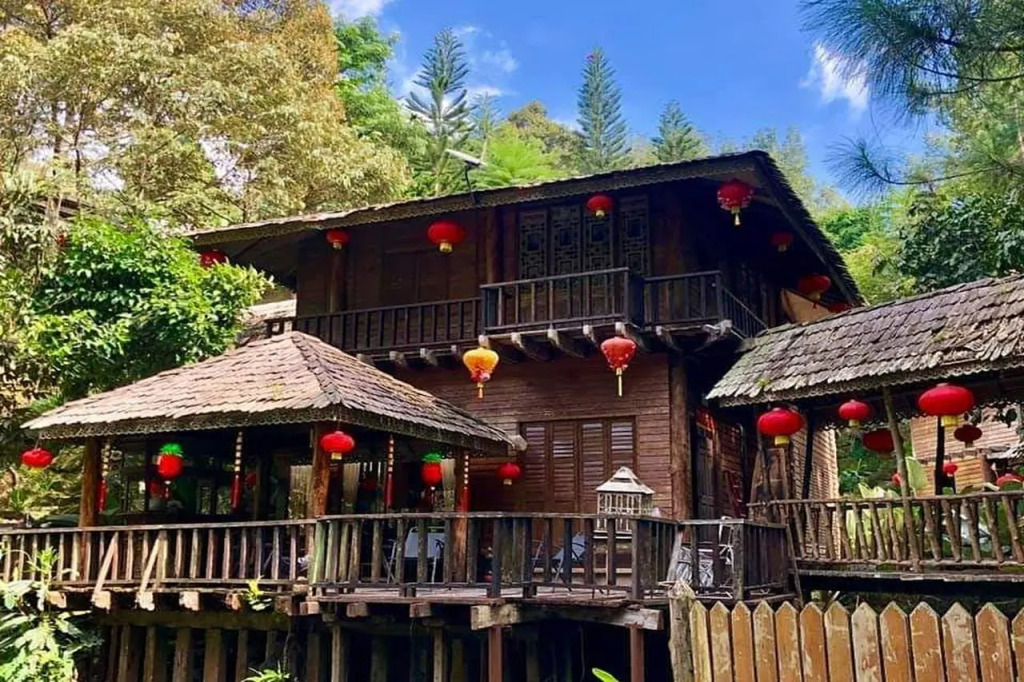 Fig Tree Hills Resort