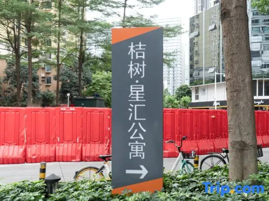 Star International Apartment