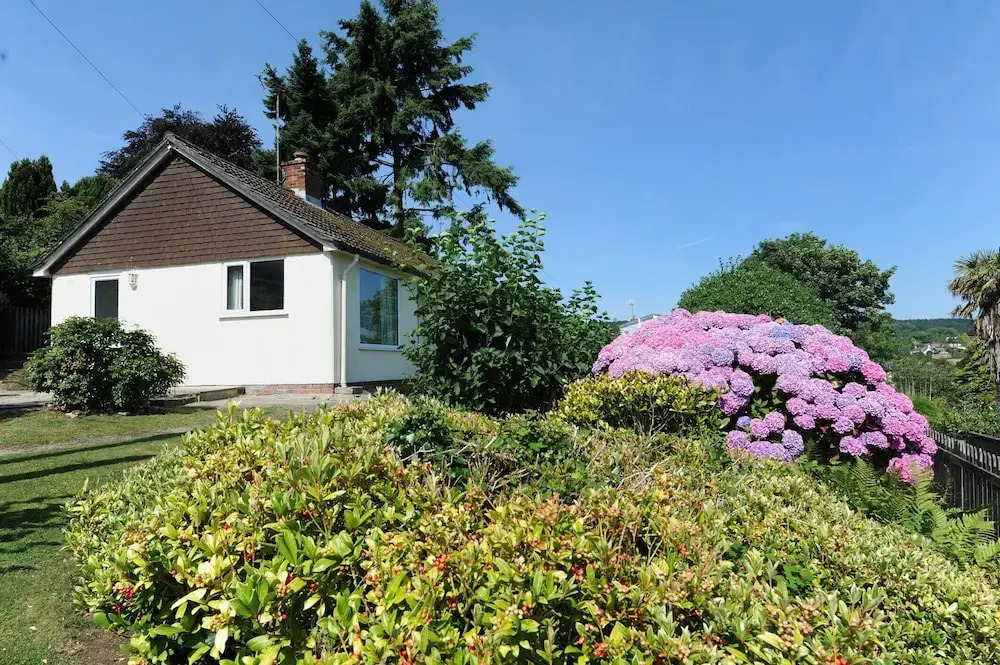 Mount View