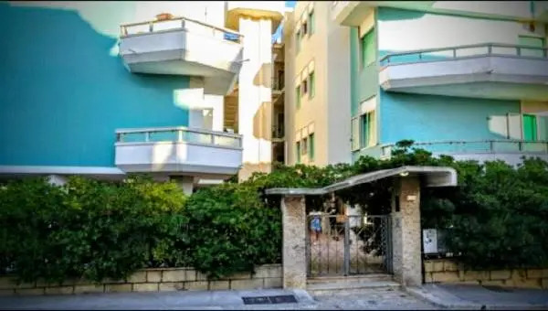 B&B Delfis