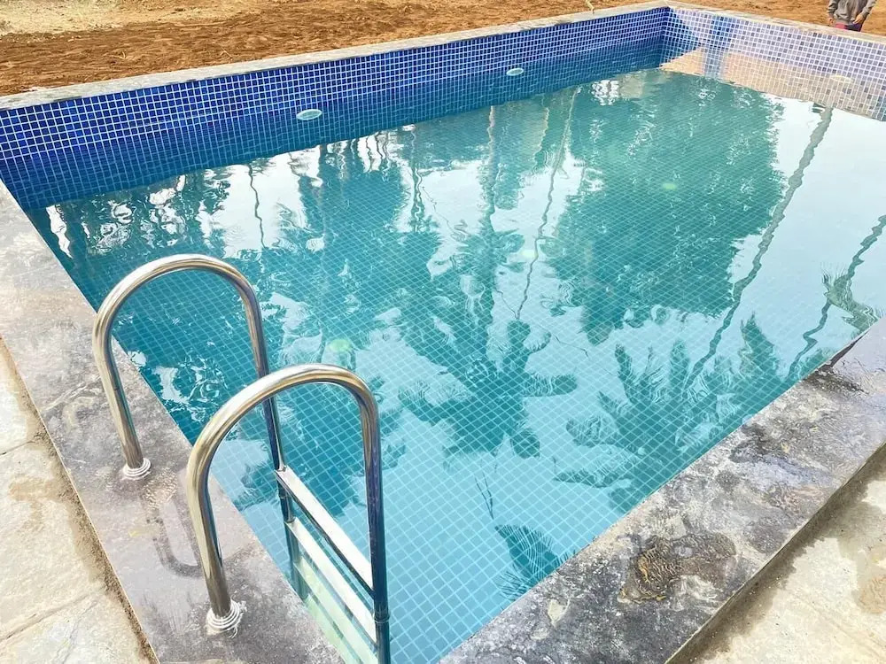 Disa Vila