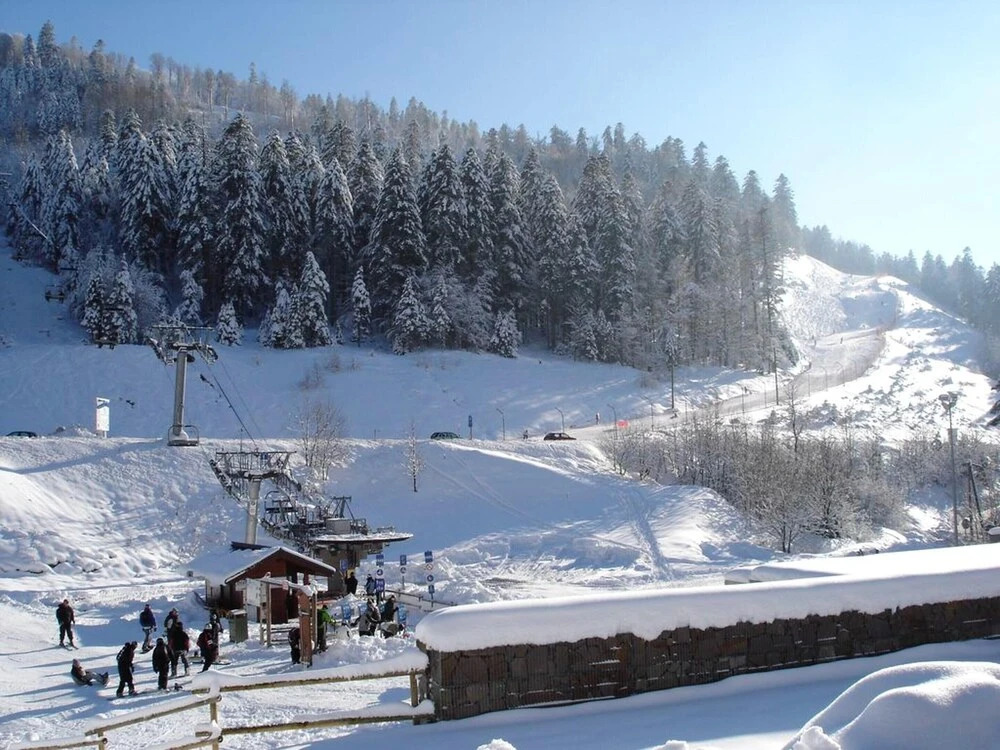 Apartment With one Bedroom in La Bresse, With Wonderful Mountain View and Furnished Balcony - 200 m From the Slopes