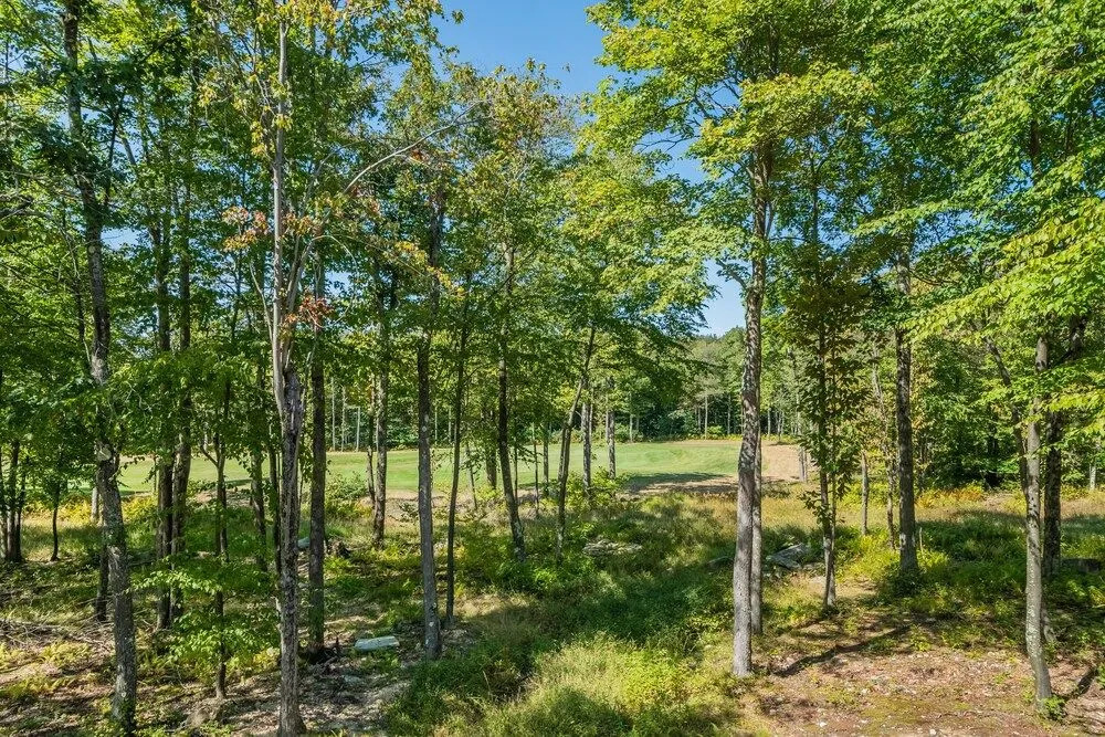 Wood-fore Reserve