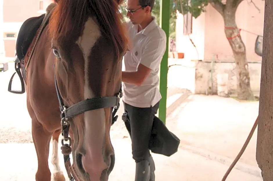 Agriturismo Fasano