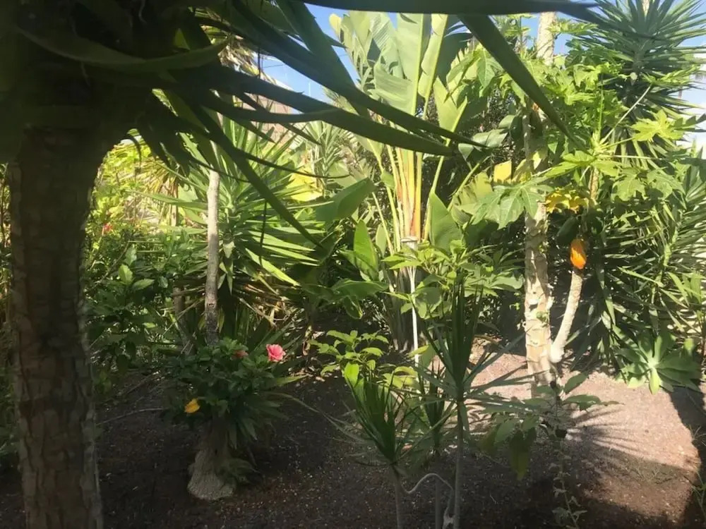 Lovely Apartment in Arona