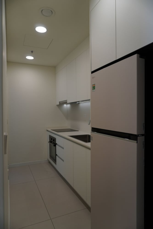 Nice Apartments at Thu Thiem Ziet River