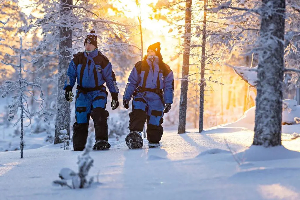 Polar Aurora Cabins