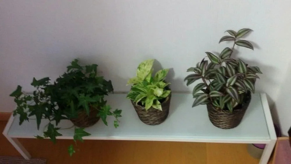 Yoko's House – Hostel