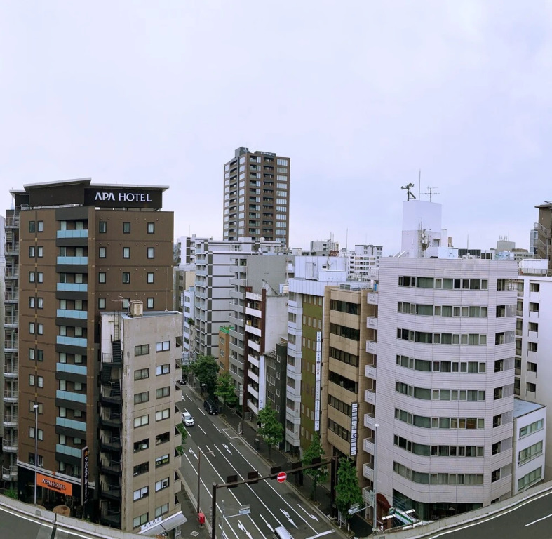 Akihabara Luxury Cityhouse