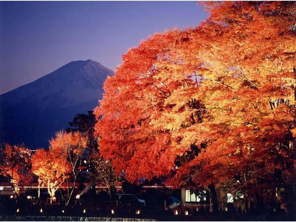 Fuji Mountain Resort Hotel