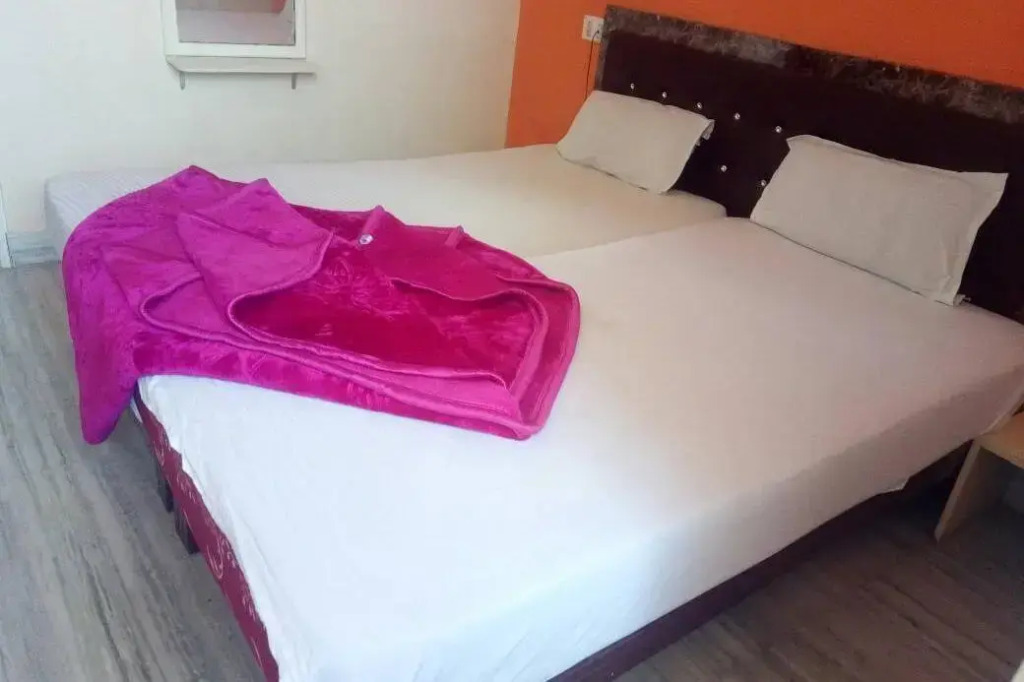 OYO 15212 Hotel Seema