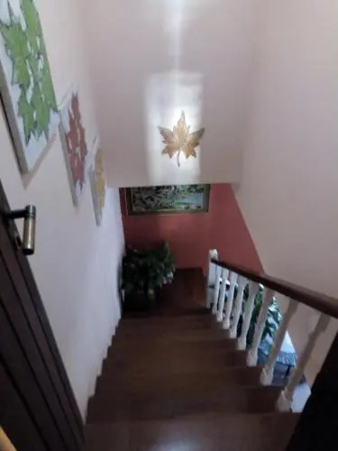 Casa Flor de liz