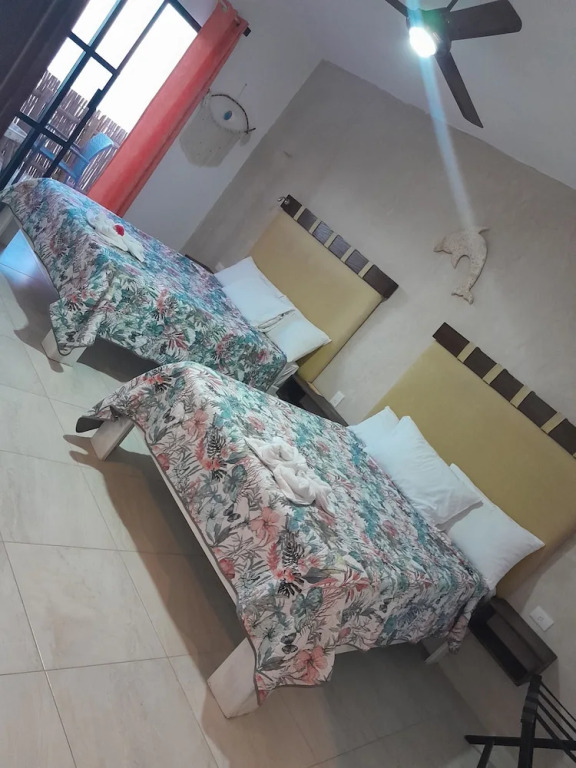 CASA DELFINES RIO LAGARTOS