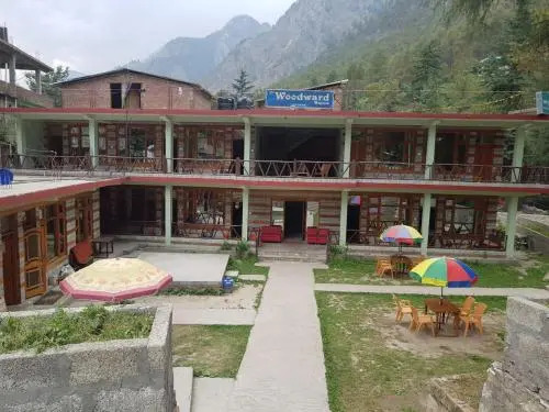 Woodward Magique kasol