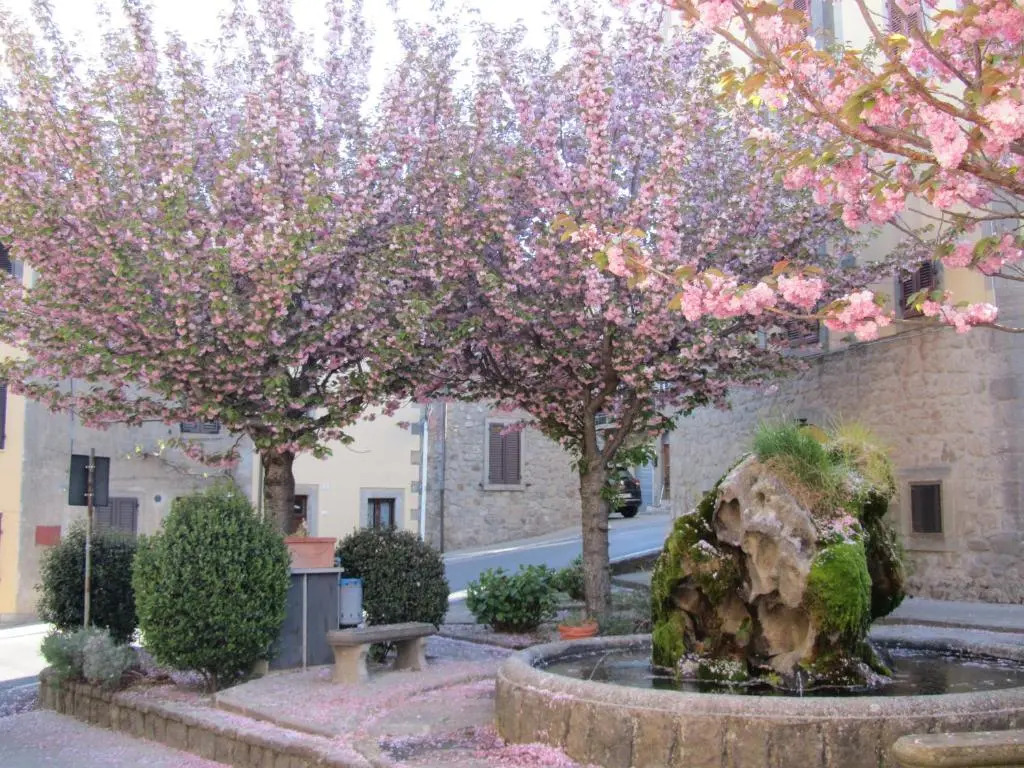 Casa Giuly