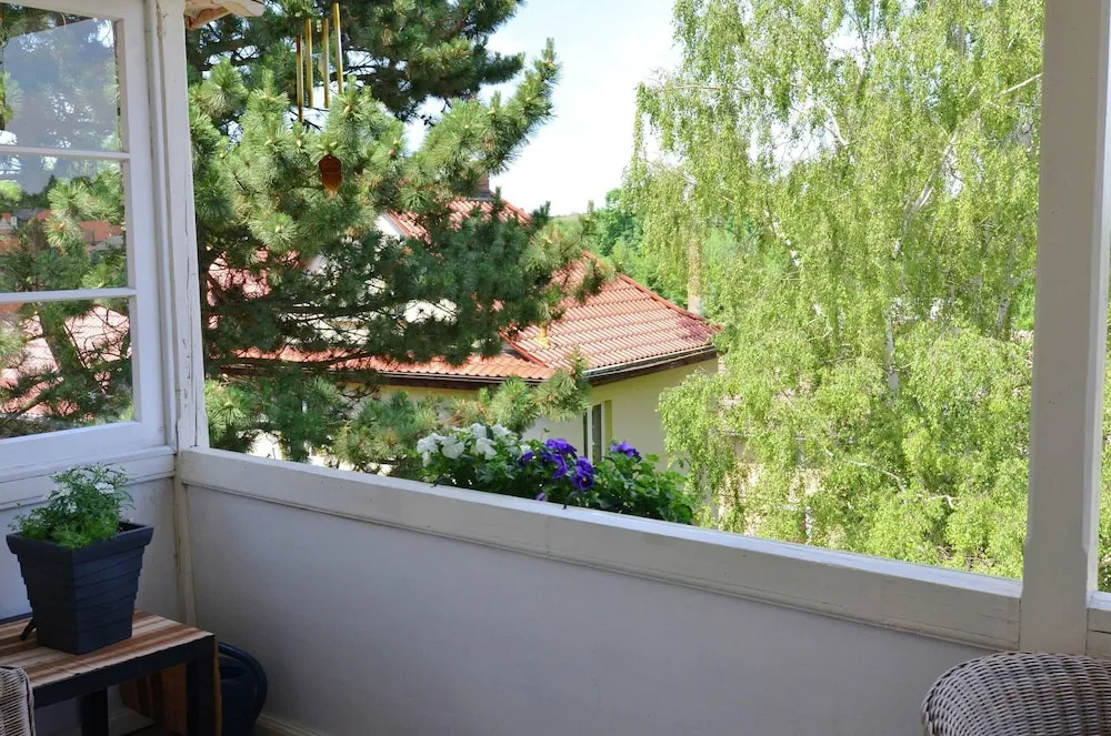 Apartment in Harz Near Ski Slopes