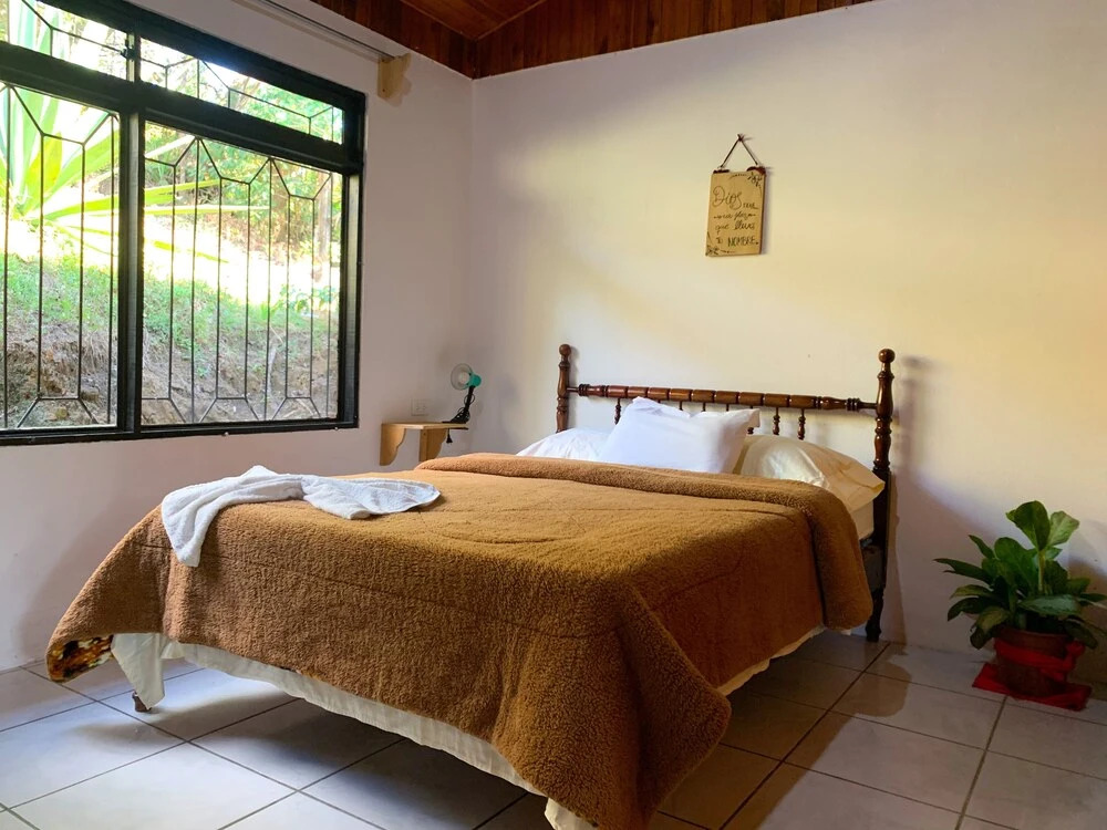 Hakuna Matata Guest House - Hostel