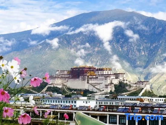Puxin Fuyang · Scenic Homestay