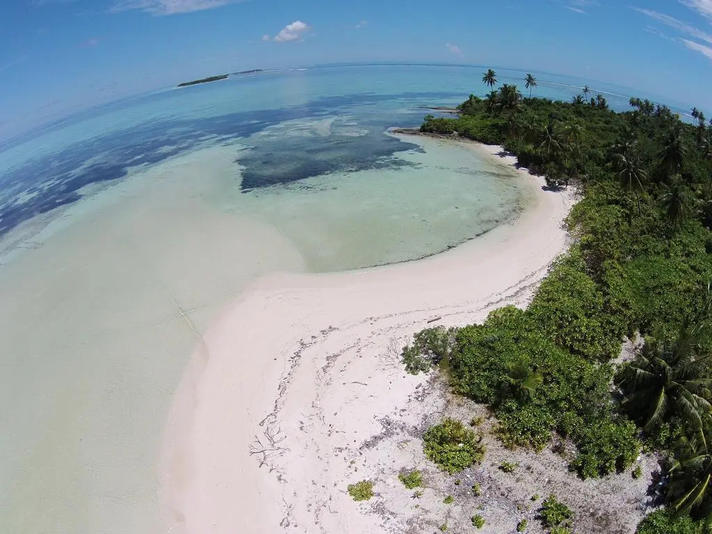 Pearl Beach View