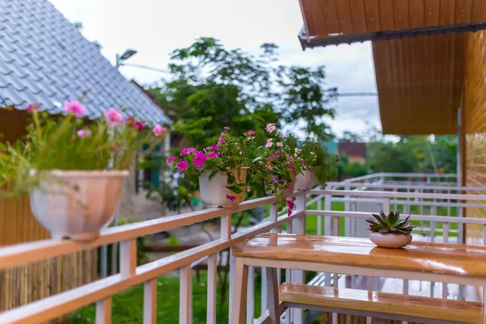 Pomelo Homestay