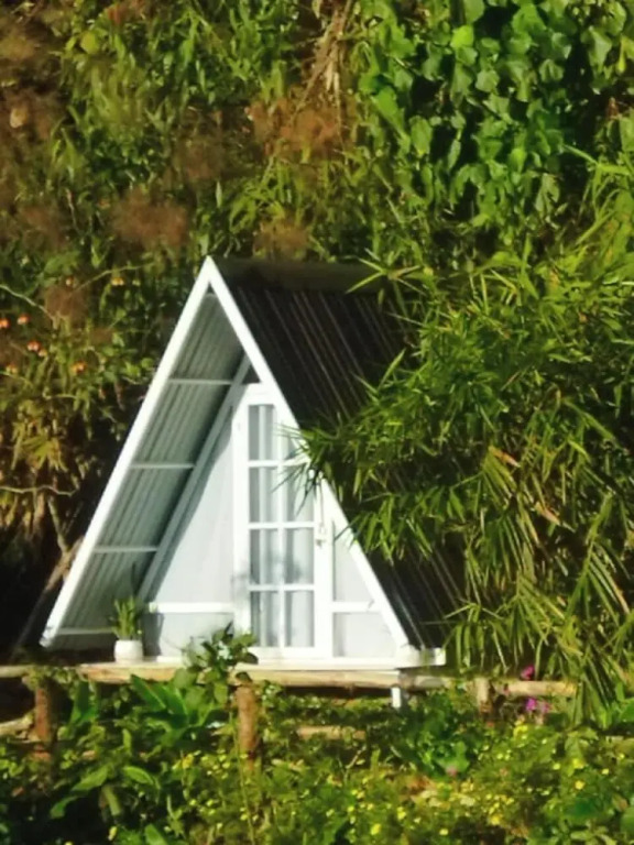 Tuyết Hoa Hòn Bồ Homestay