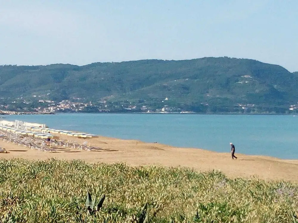 I Gigli di Mare