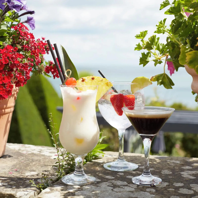 Luccombe Hall Hotel