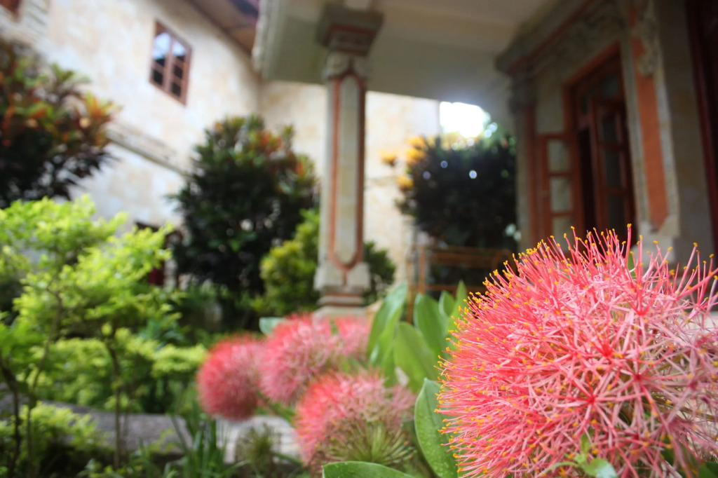 Rambutan Hotel