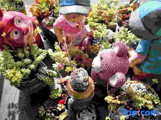 Guanyue Homestay (Shuangqiao Valley Scenic Area of Mount Siguniang)