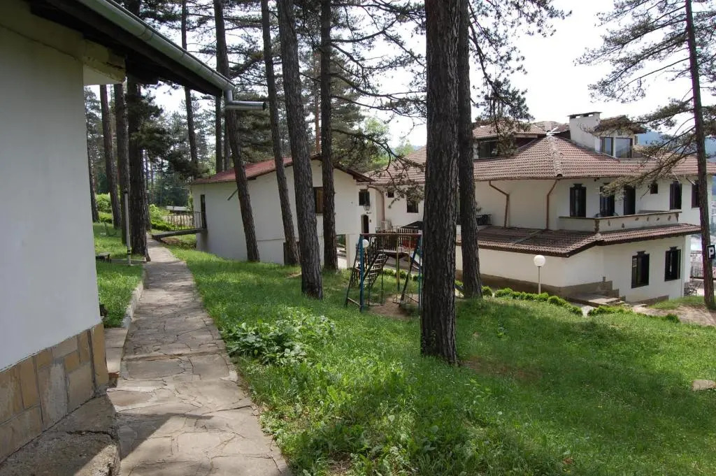 Complex Brashlyan