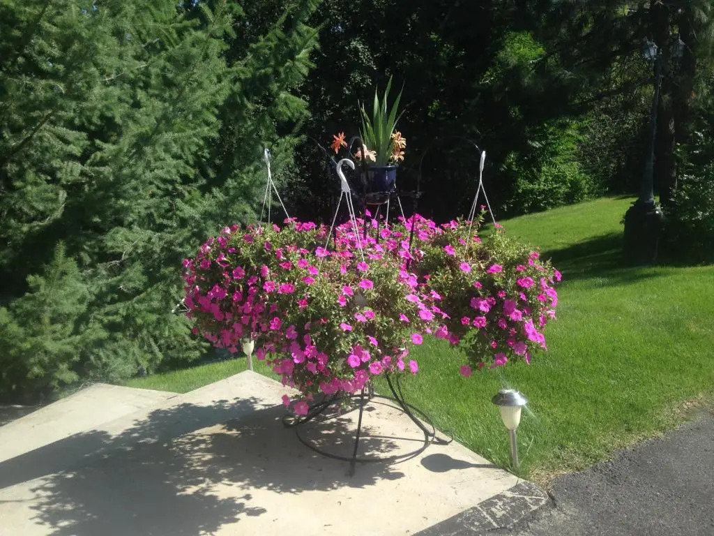 Eagles Nest B&B