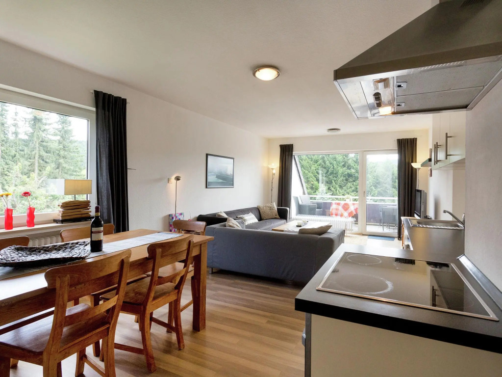 Modern apartment in the Sauerland region with private balcony