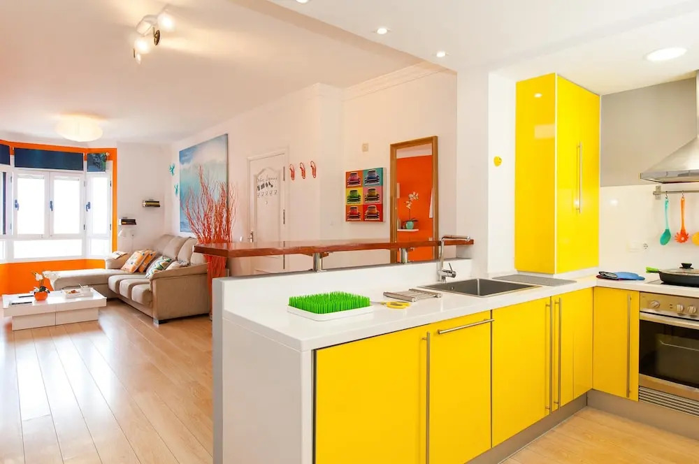 Apartment With Roof Terrace by Las Canteras California 104