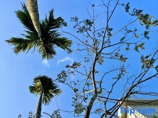 LIB · Shixiwu Homestay (Wanning Riyue Bay)