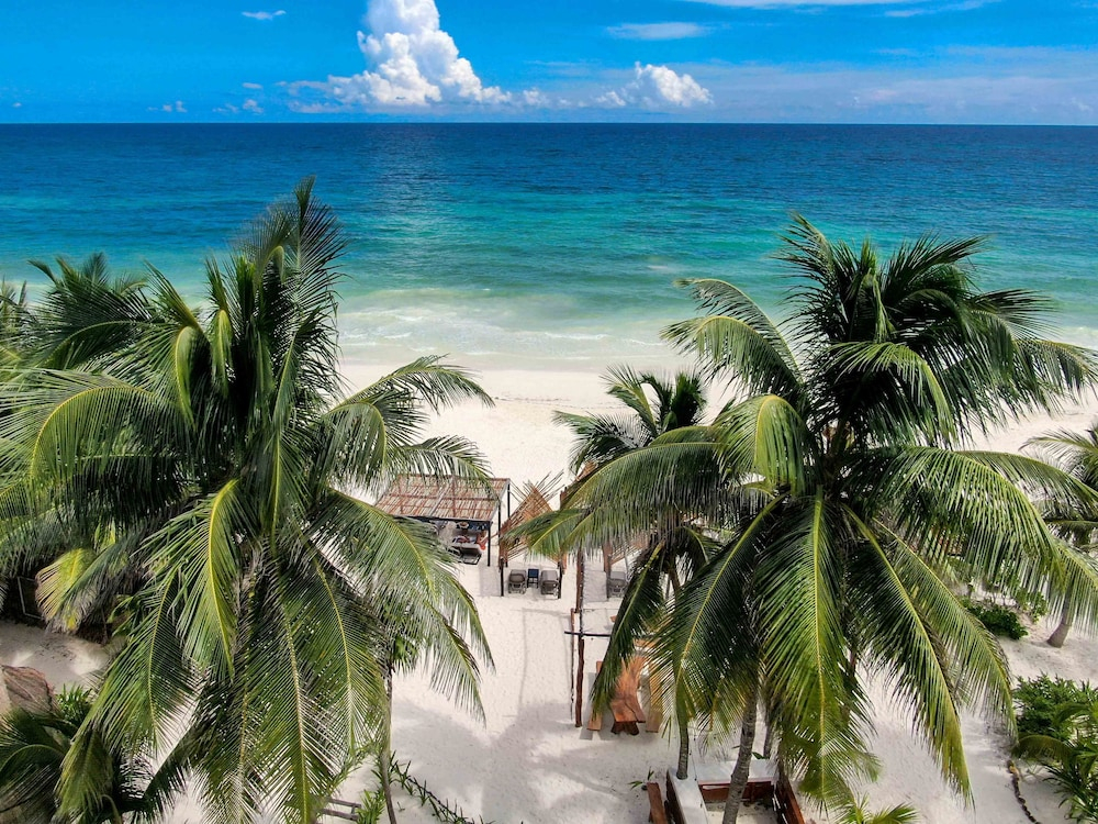 Bt Live Tulum
