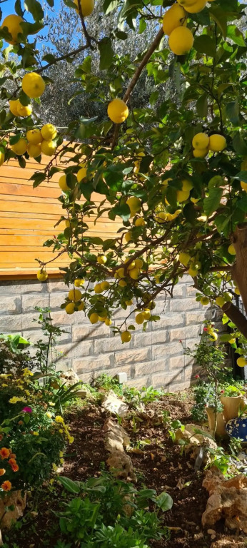Marias GuestHouse - Uphill View of Nazareth F