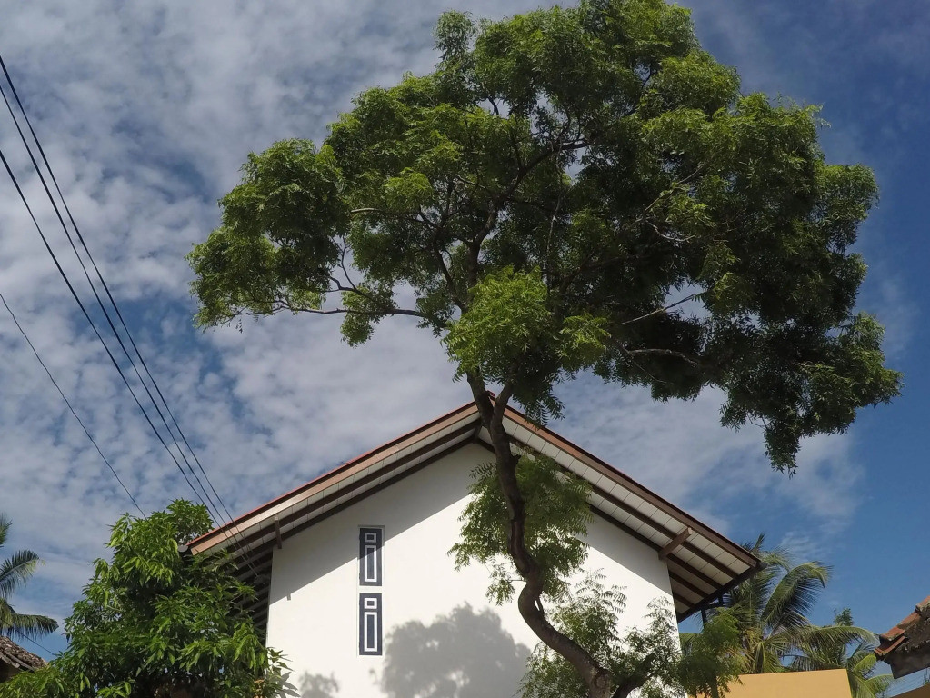 The Hostel