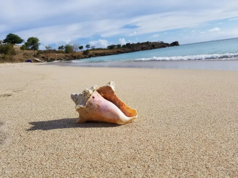 Orries Beach Bar and Hotel