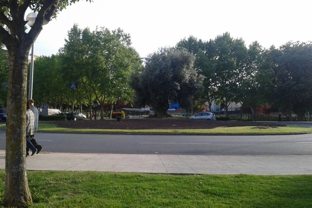 Apartment With 2 Bedrooms in Logroño