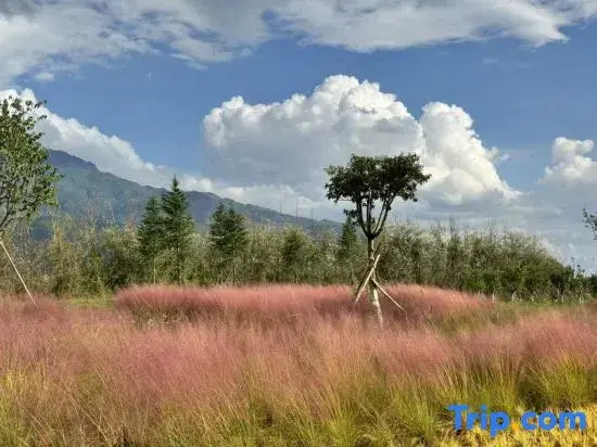 Nanhuaju Homestay