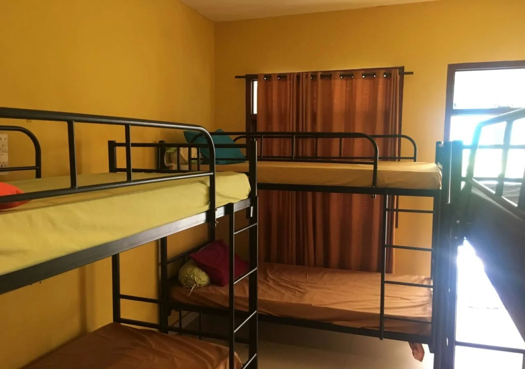 Cheeky Piggy Hostel