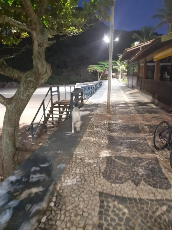 Suítes do Gutime