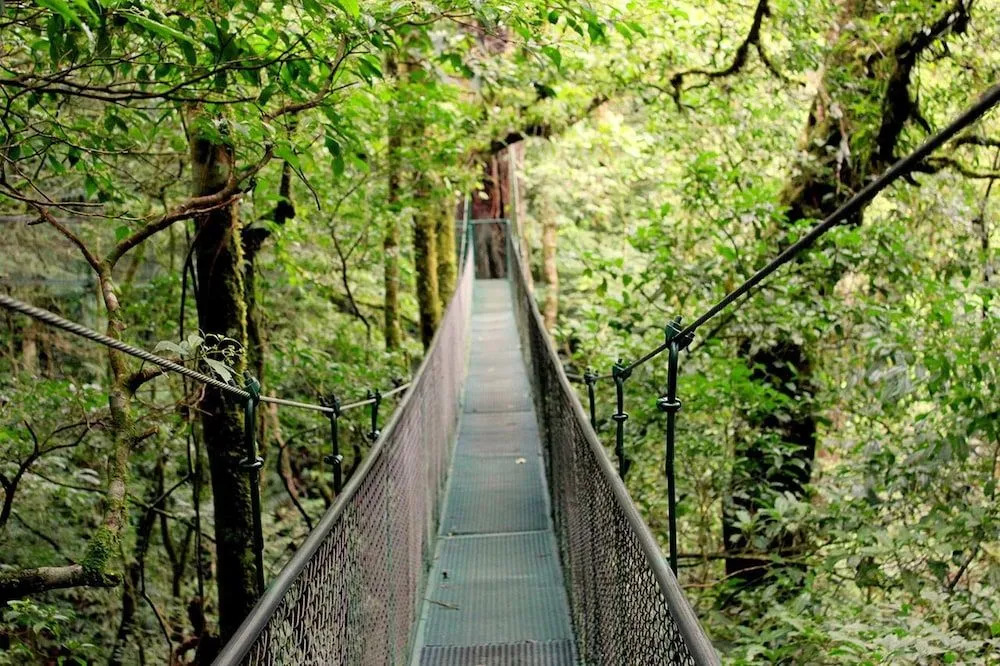 Que Tuanis Hostel Monteverde